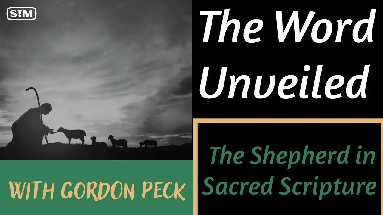 The Good Shepherd: Embracing God’s Care and Guidance